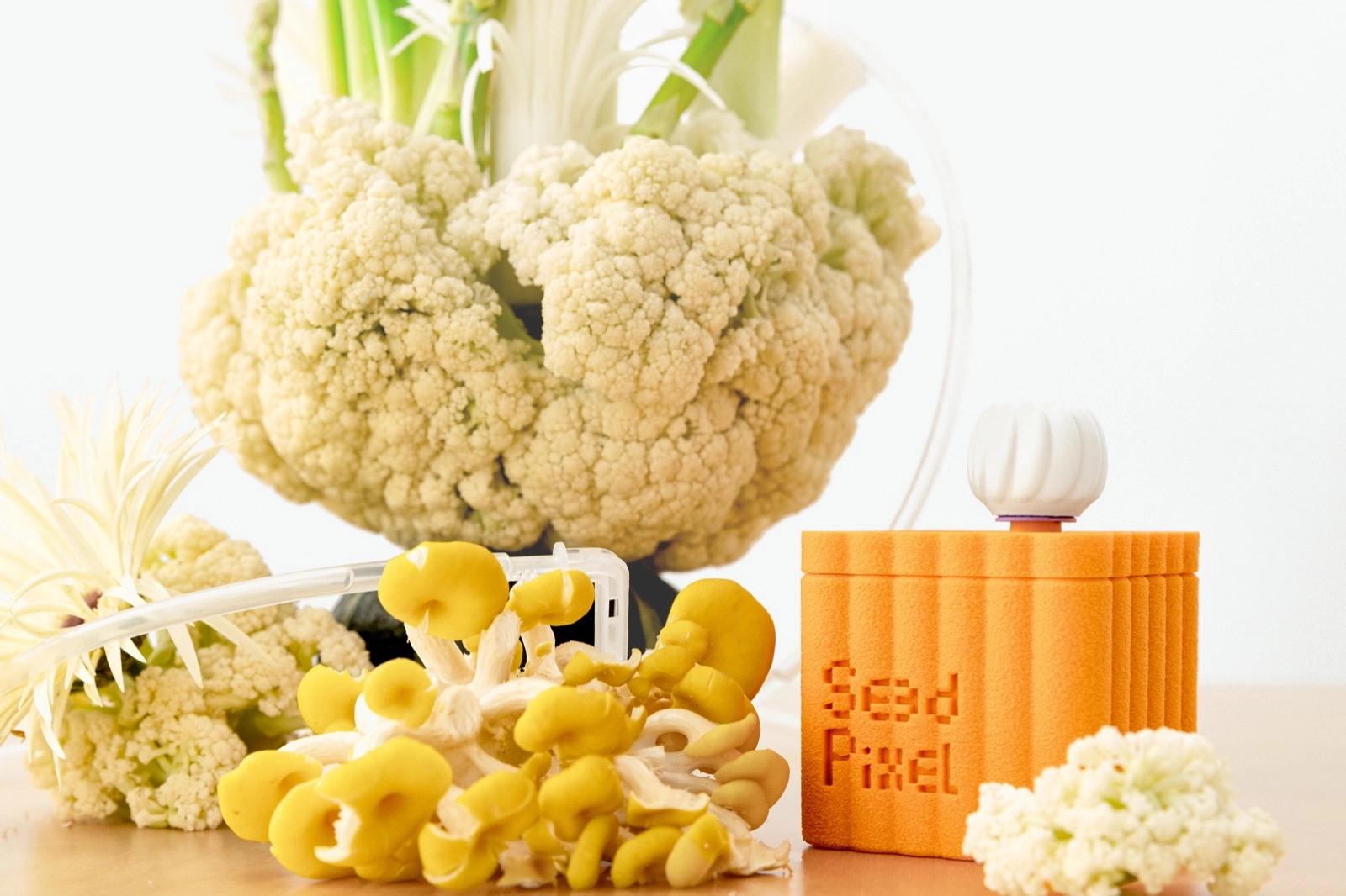 MP25 cube prototype with vegetables and flowers