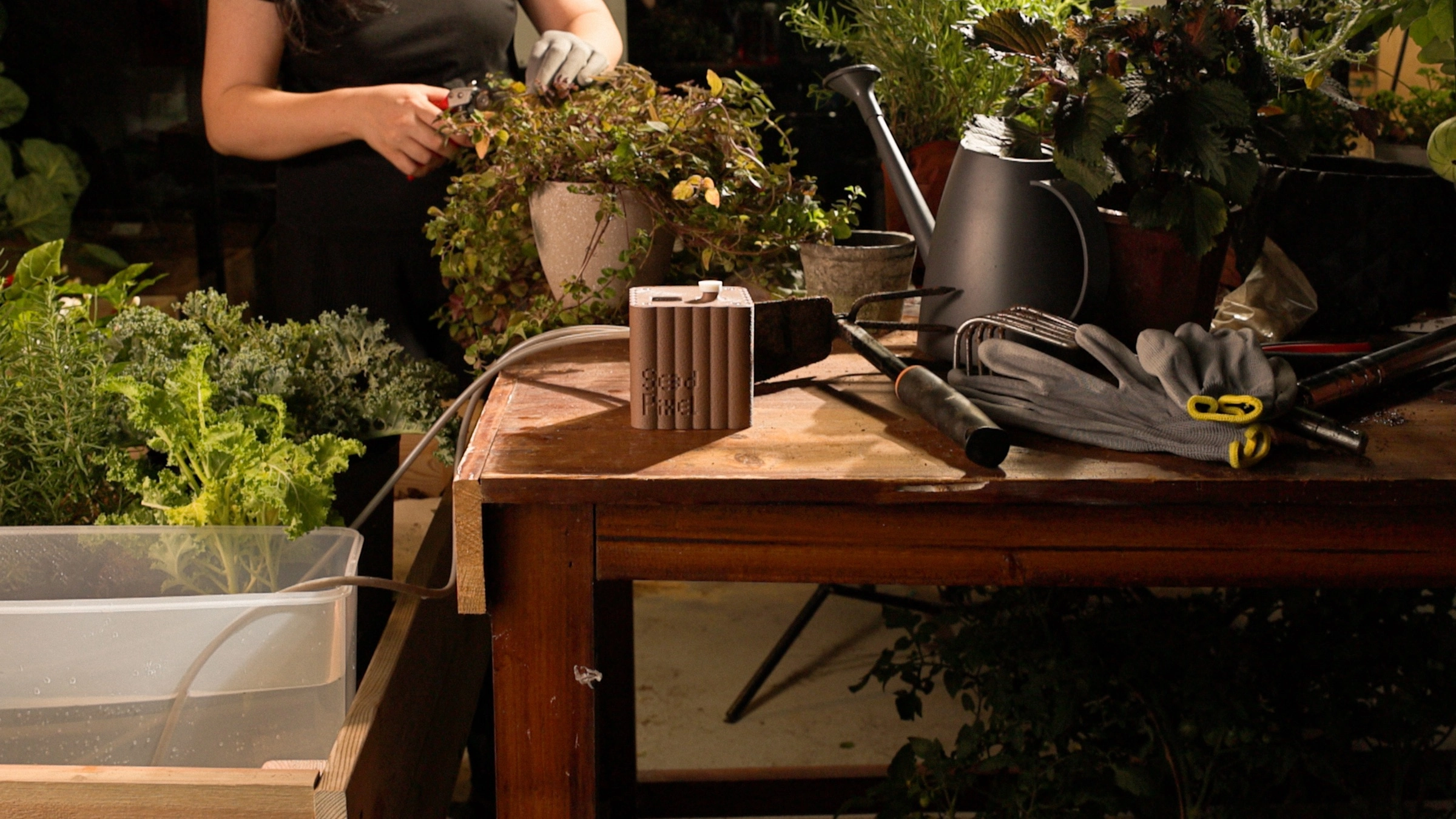 MP26-01 prototype on a garden worktable