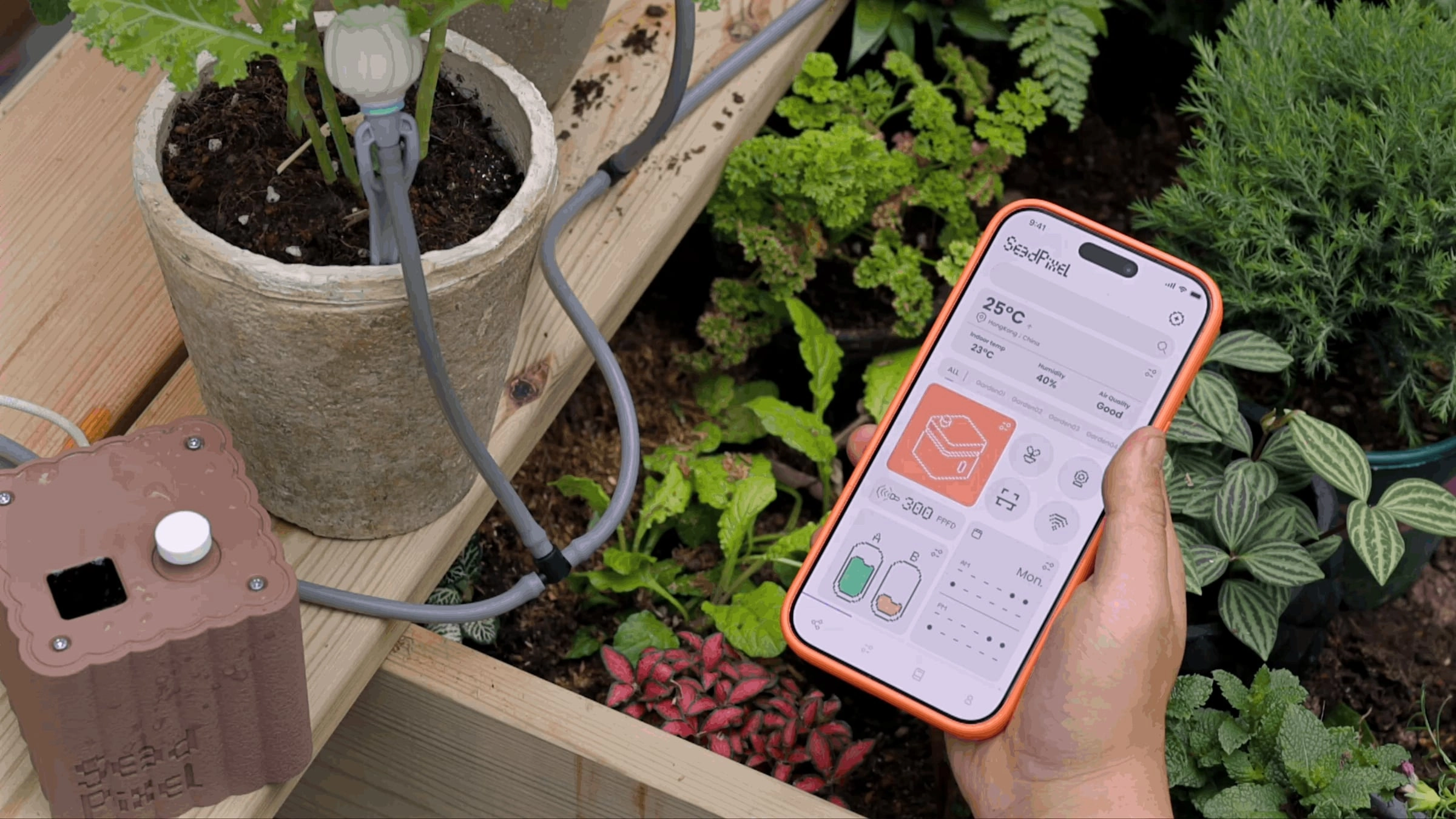 Using SeedPixel app with MP26-01 in garden