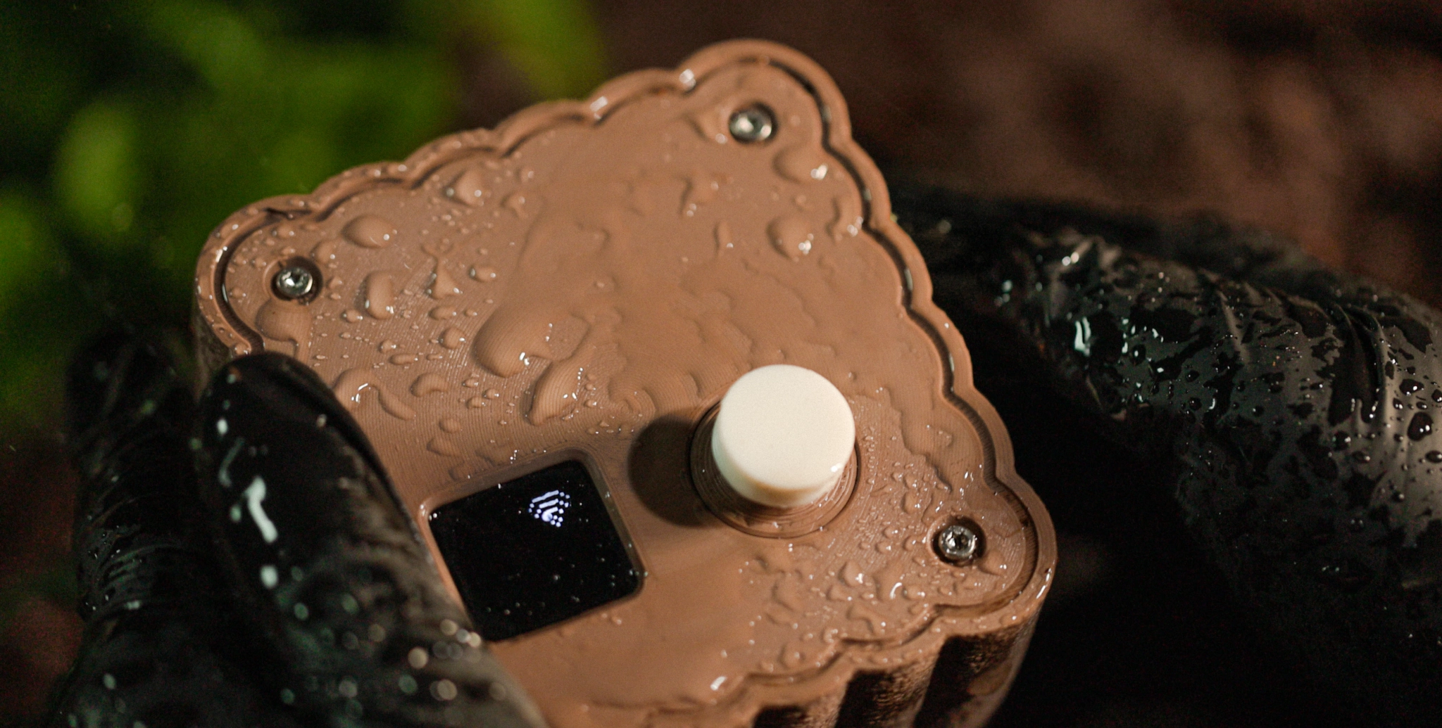 Water drops on MP26-01