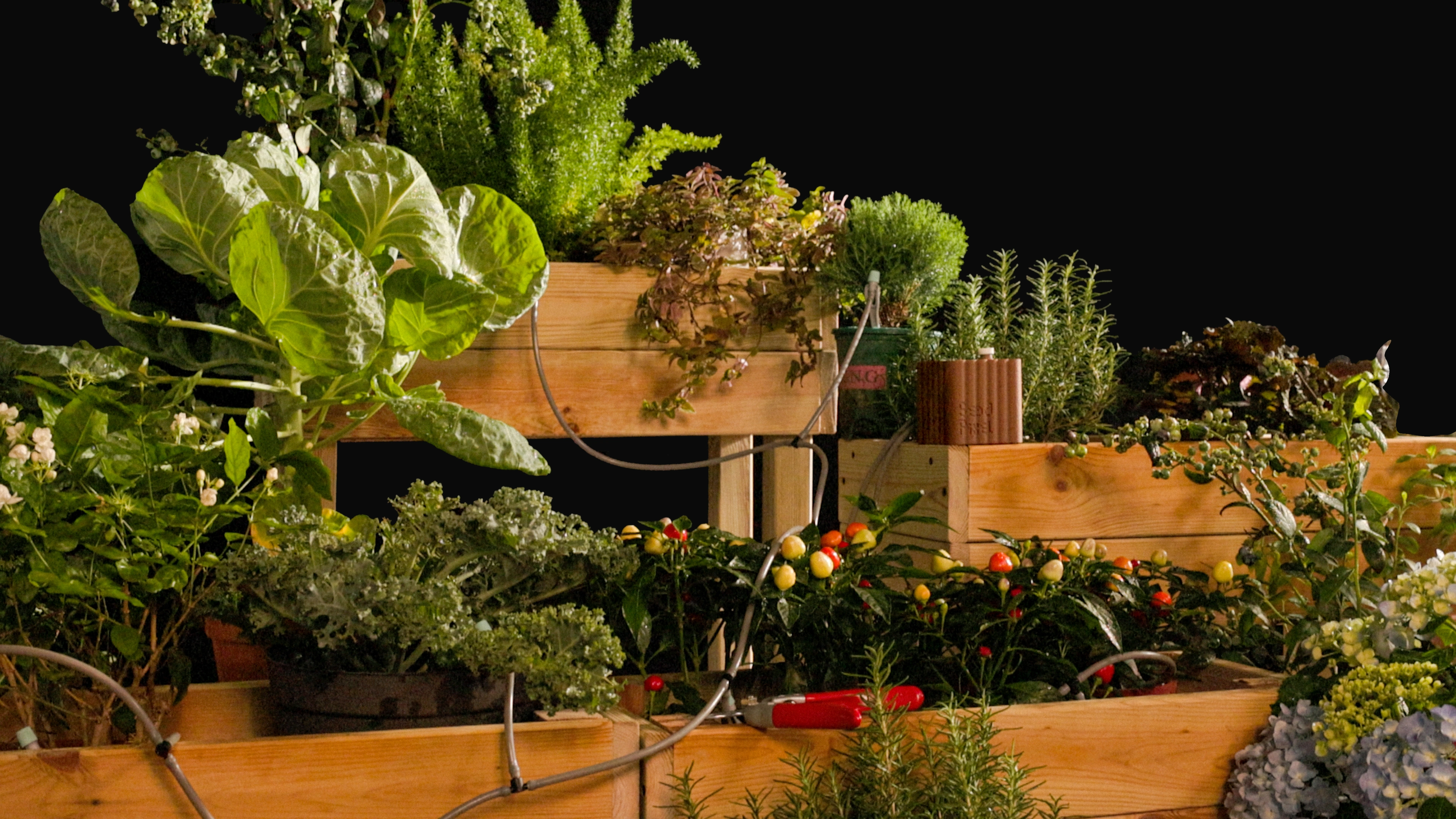 MP26-01 irrigation tubing connected across tiered planter boxes