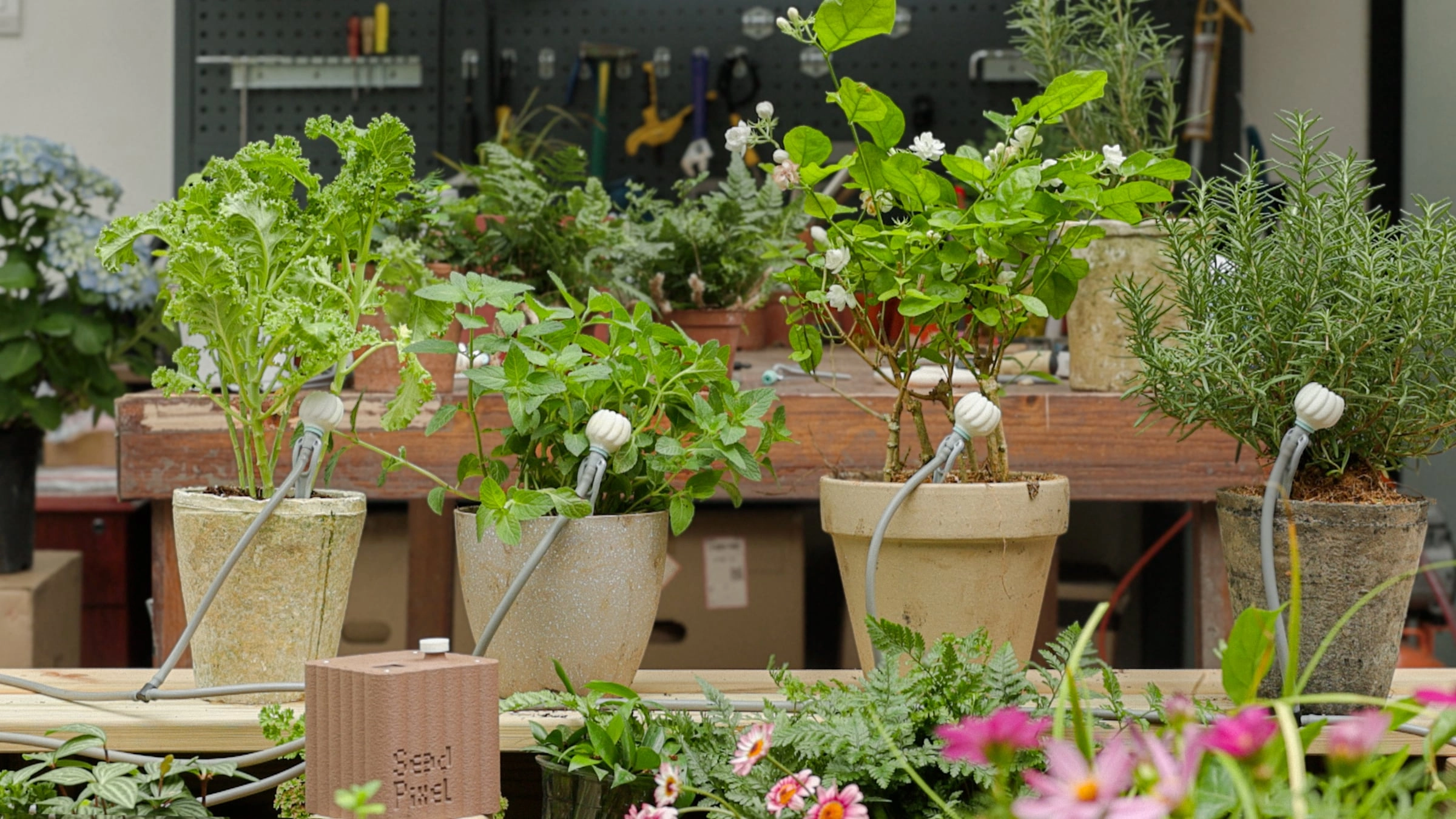 MP26-01 watering potted plants