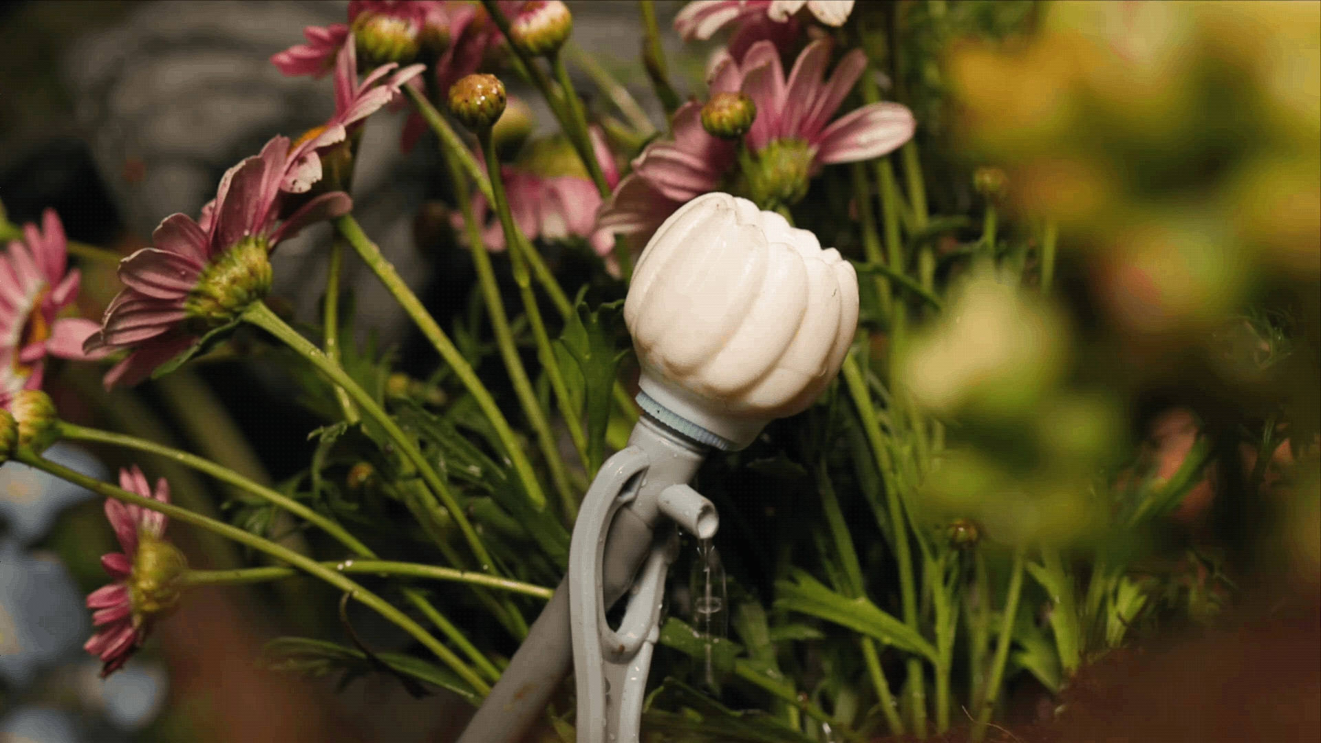 Close-up adjustable dropper