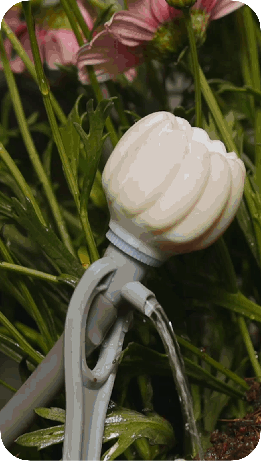 Water Column Mode.