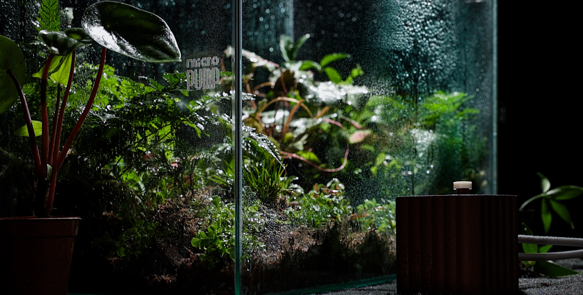 MP26-01 watering system in a planted glass scene